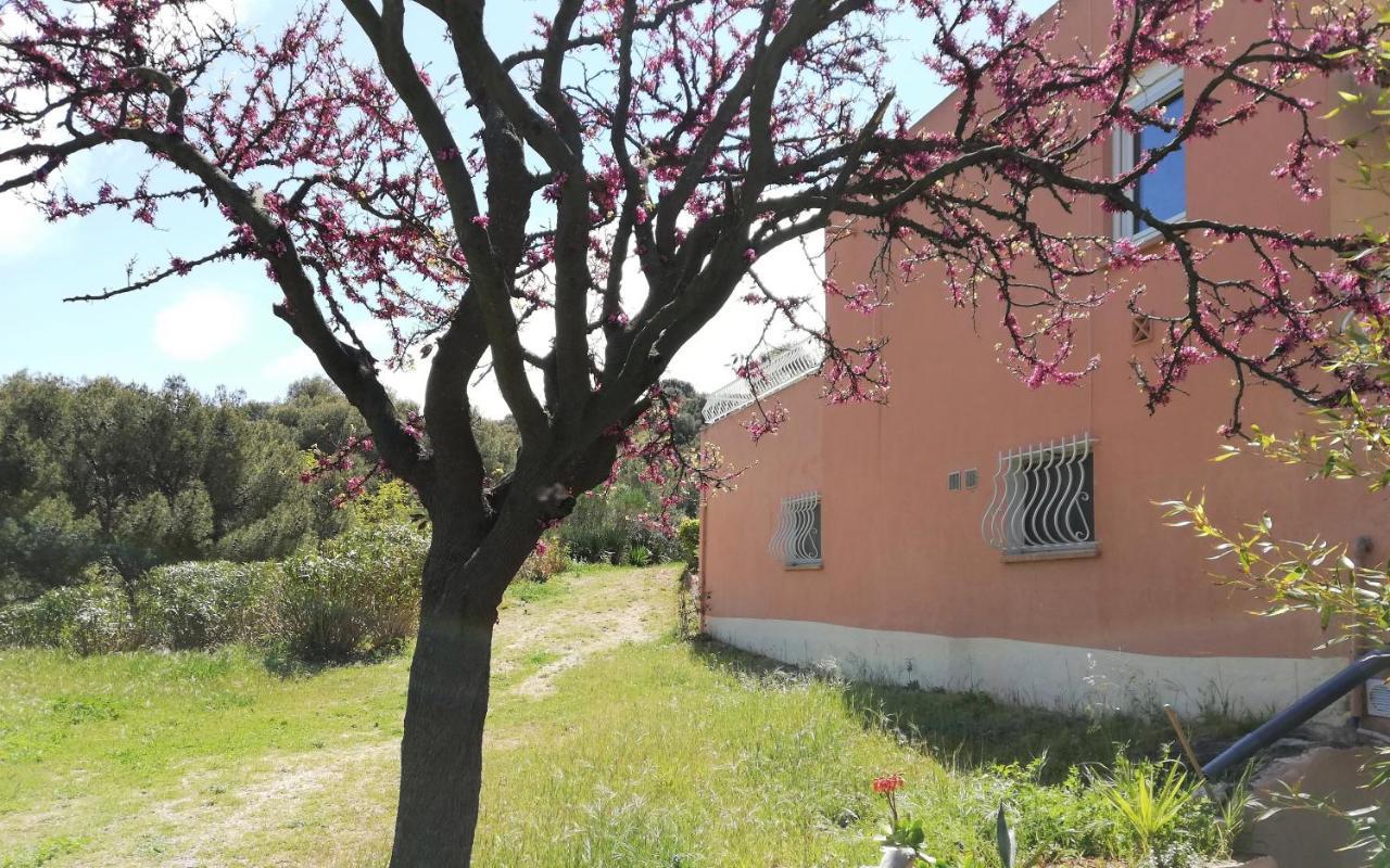 לה קיוטאט Studio 28M2 Climatise,Wifi, Proche Des Calanques,Plages מראה חיצוני תמונה