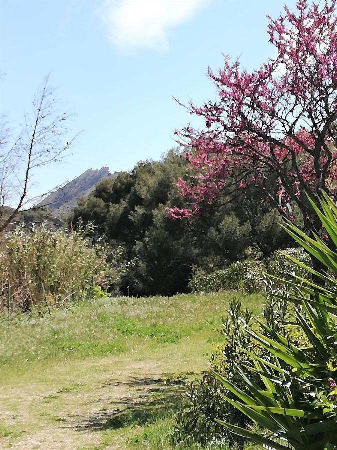 לה קיוטאט Studio 28M2 Climatise,Wifi, Proche Des Calanques,Plages מראה חיצוני תמונה