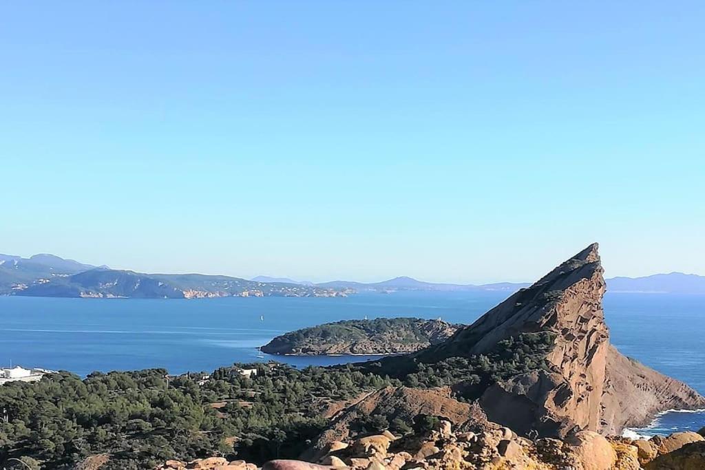 לה קיוטאט Studio 28M2 Climatise,Wifi, Proche Des Calanques,Plages מראה חיצוני תמונה